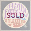 Trudy Pitts & Mr. C - Bucket Full Of Soul