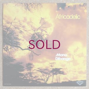 画像1: Manu Dibango - Africadelic