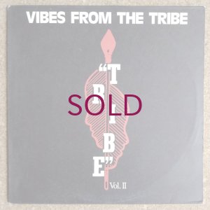 画像1: V.A. - Vibes From The Tribe Vol.II