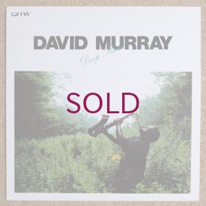 画像1: David Murray - Deep River