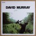 画像1: David Murray - Deep River (1)