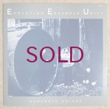 Evolution Ensemble Unity - Concrete Voices