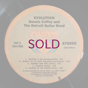 画像3: Dennis Coffey & The Detroit Guitar Band - Evolution