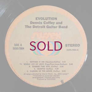 画像3: Dennis Coffey & The Detroit Guitar Band - Evolution