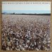 画像1: Marion Brown - November Cotton Flower (1)