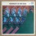 画像1: Masanaga Harada - Possibility Of The Bass (1)