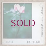 Lee Won Hui (Mototeru Takagi) + Koji Kikuchi - Grow
