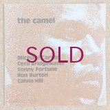 Michael Carvin - The Camel