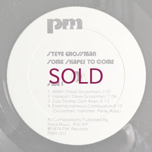 画像3: Steve Grossman - Some Shapes To Come