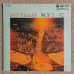 画像1: George Otsuka Trio - Last Summer / Page 3 (1)