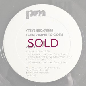 画像4: Steve Grossman - Some Shapes To Come
