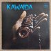 画像1: Kuumba Toudie Heath - Kawaida (1)
