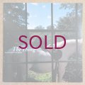 Isao Suzuki & New Family - The Thing