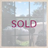 Isao Suzuki & New Family - The Thing