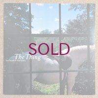 Isao Suzuki & New Family - The Thing