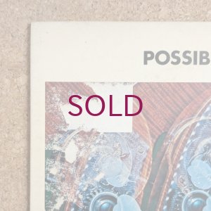 画像3: Masanaga Harada - Possibility Of The Bass