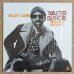 画像1: Walter Bishop, Jr. - Valley Land (1)