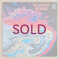 Roswell Rudd / Steve Lacy / Sheila Jordan - Blown Bone