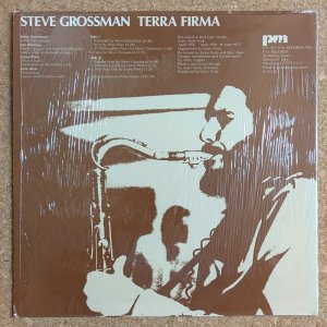 画像2: Steve Grossman - Terra Firma