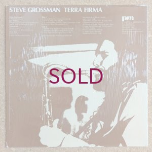 画像2: Steve Grossman - Terra Firma