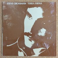Steve Grossman - Terra Firma