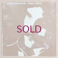 Steve Grossman - Terra Firma