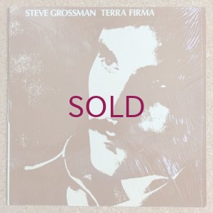 画像1: Steve Grossman - Terra Firma