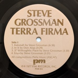 画像3: Steve Grossman - Terra Firma
