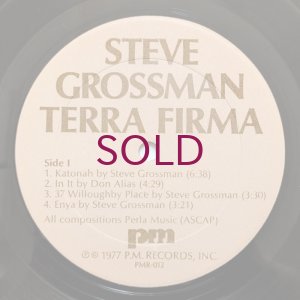 画像3: Steve Grossman - Terra Firma