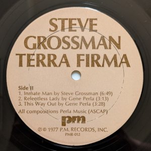 画像4: Steve Grossman - Terra Firma