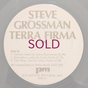画像4: Steve Grossman - Terra Firma