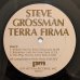 画像4: Steve Grossman - Terra Firma (4)