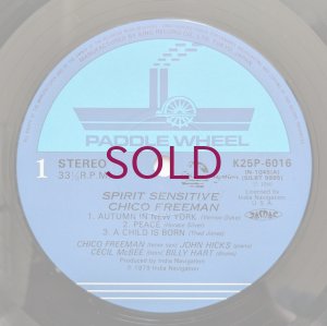 画像3: Chico Freeman - Spirit Sensitive