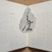 画像4: Masahiko Sato / Toshiyuki Miyama & New Herd - 那由陀現成