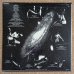 画像2: Eddie Henderson - Realization (2)