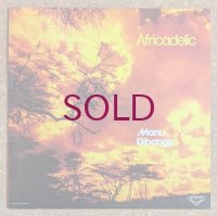 Manu Dibango - Africadelic