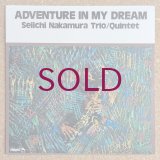 Seiichi Nakamura Trio / Quintet - Adventure In My Dream