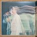 画像3: Abbey Lincoln - Live In Misty