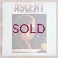 Masaru Imada - Ascent