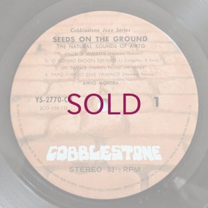 画像5: Airto - Seeds On The Ground / The Natural Sounds Of Airto