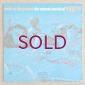 Airto - Seeds On The Ground / The Natural Sounds Of Airto