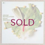 Keiki Midorikawa - Grune Revolution