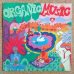 画像2: Don Cherry - Organic Music Society (2)